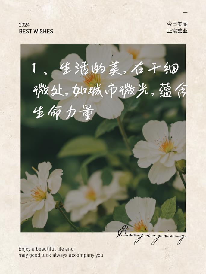 感受幸福：于生活细微处，寻一抹温暖微光