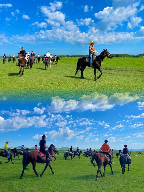 详细阅读:体验极致!呼和浩特草原骑马之旅全攻略 体验极致!呼和浩特草原骑马之旅全攻略