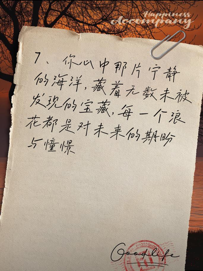 时光深处的共鸣：那些触动心灵的旋律与故事