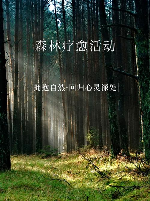 森林浴：自然馈赠的身心疗愈之旅