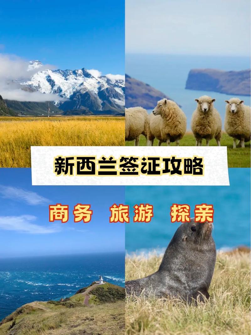 旅游签证办理全攻略：开启畅游世界的奇妙之旅