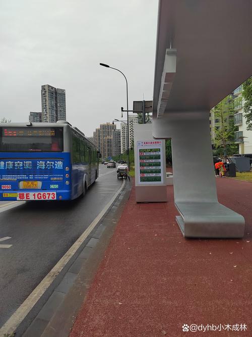 公交换乘便捷：城市出行的高效之选