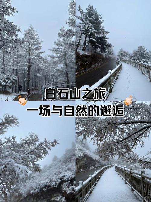 探秘山区：一场与自然的深度邂逅之旅