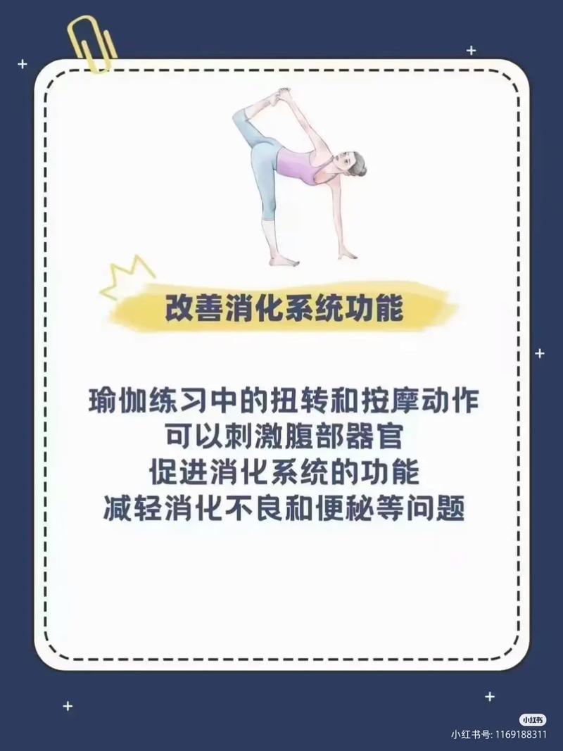 深度解析柔韧性训练：原理、方法与益处全攻略