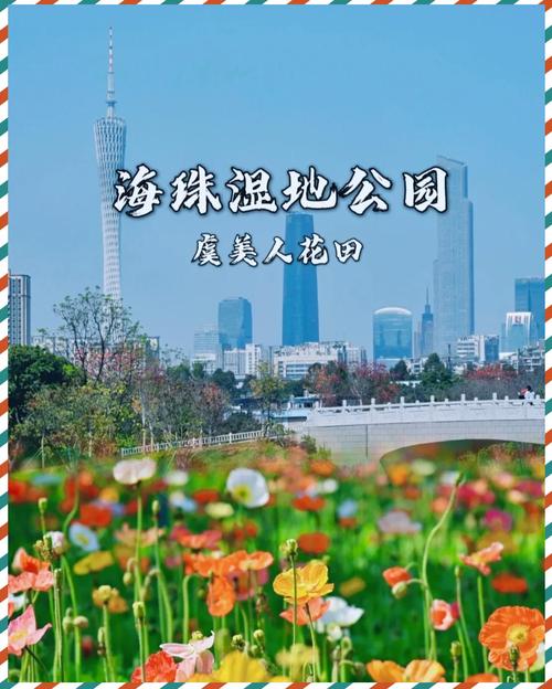 探秘海珠国家湿地公园：岭南水乡的生态明珠