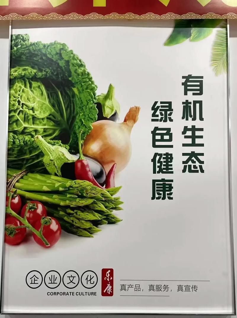 详细阅读:有机食品:绿色生活的味觉盛宴 有机食品:绿色生活的味觉盛宴