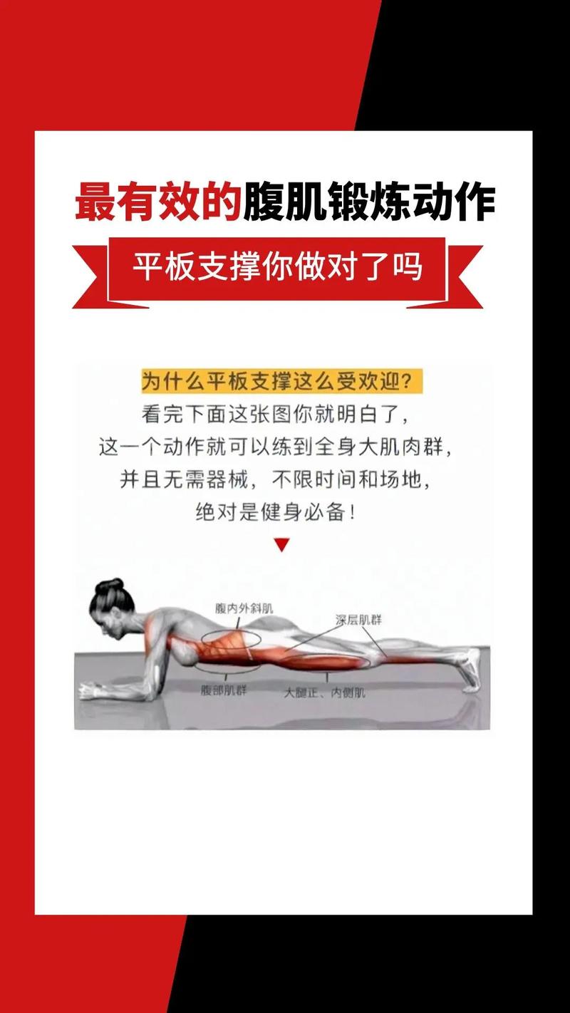 平板支撑：开启核心力量与体态塑造之旅