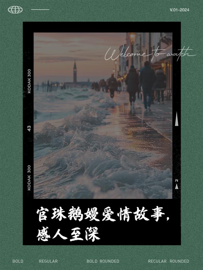 情侣理解深化：构建情感桥梁，共赴爱之深途