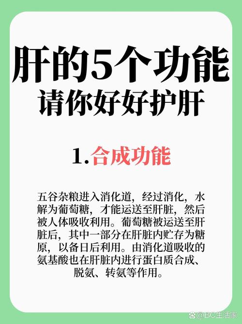 守护肝脏：从了解肝功能开始