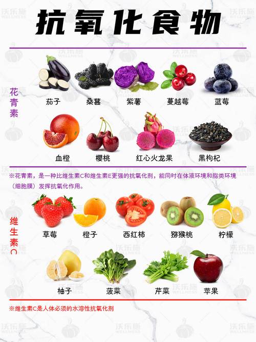 抗氧化食物：守护健康的天然宝藏