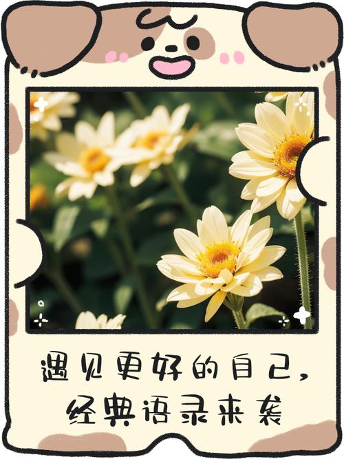 时尚博主推荐 | 解锁多元风格，遇见更好的自己