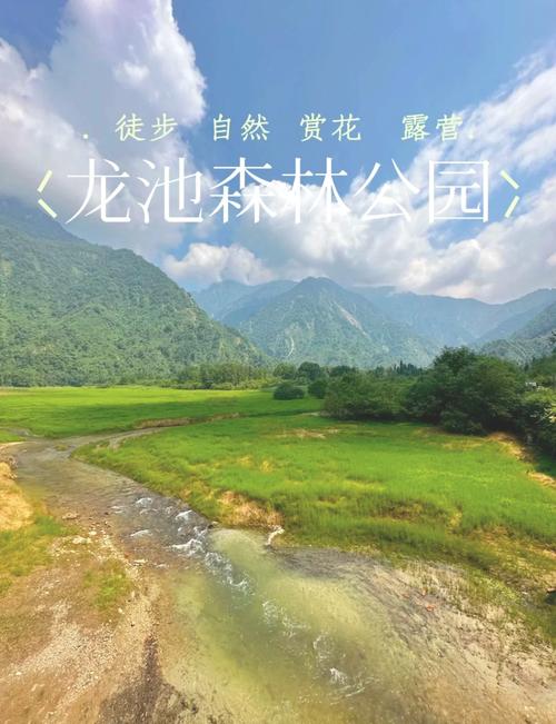 探索龙池国家森林公园：自然奇境与人文之旅