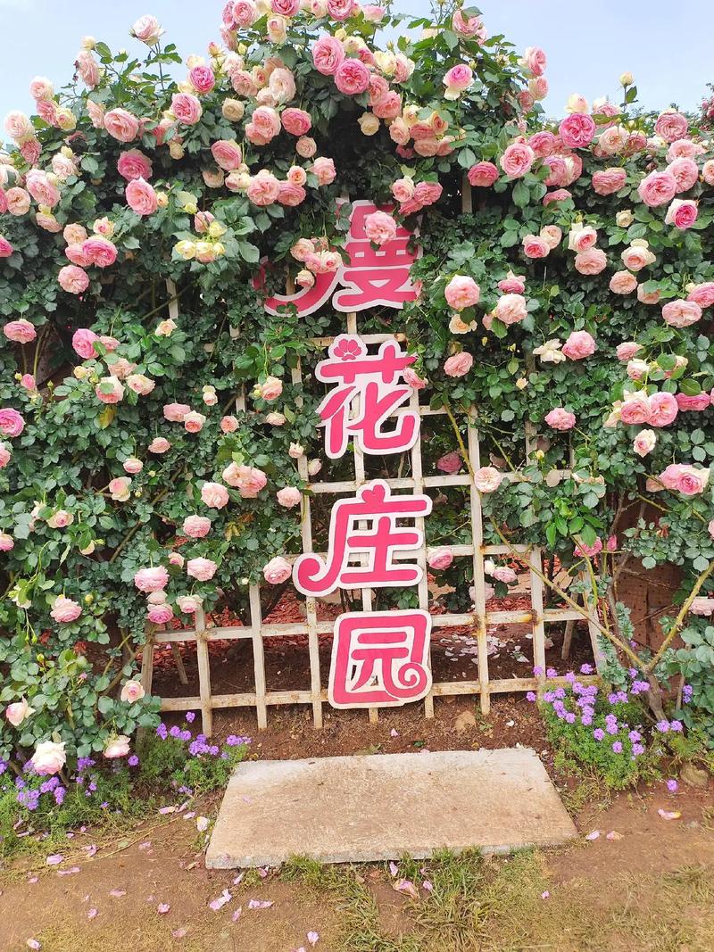 漫花庄园：诗意与浪漫的栖息地