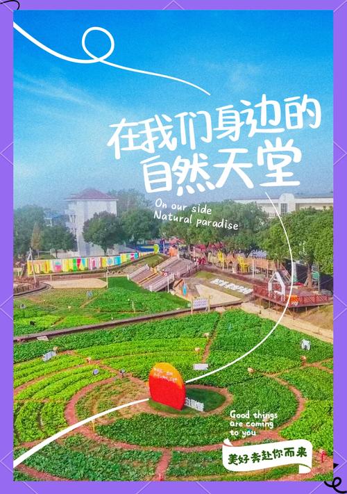 幸福梅林：城市中的生态绿洲与文化乐园