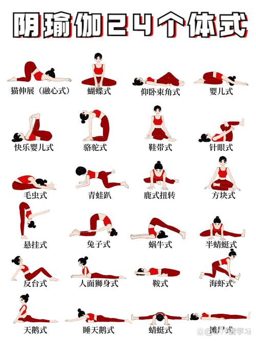 探寻瑜伽基本体式：身心和谐的奇妙密码