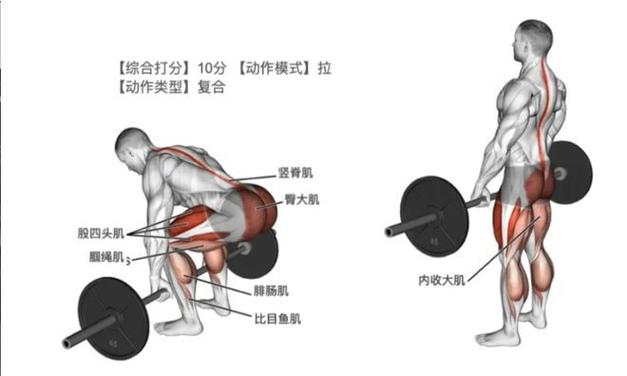 详细阅读:硬拉技巧与练习全攻略:解锁力量训练的关键动作 硬拉技巧与练习全攻略:解锁力量训练的关键动作