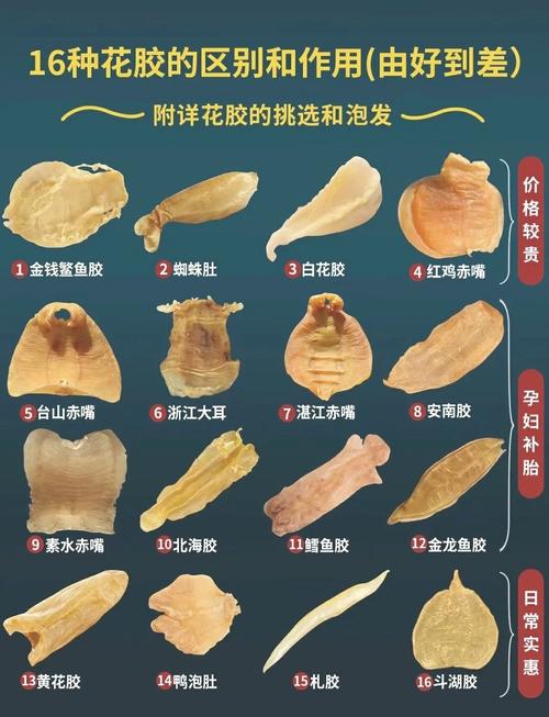 菜品柔韧度的奥秘：从选材到烹饪的全方位解析