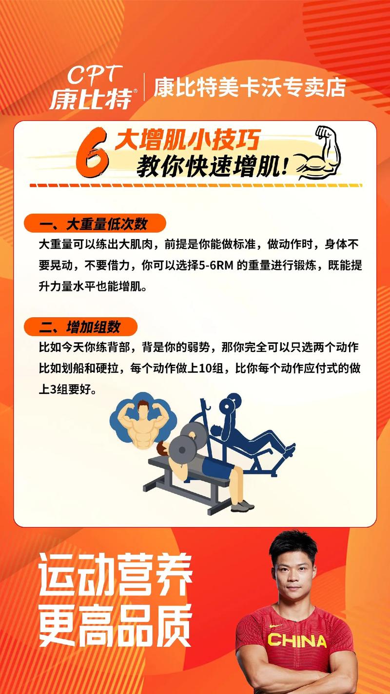 增肌的科学奥秘：从运动到恢复的全方位解析