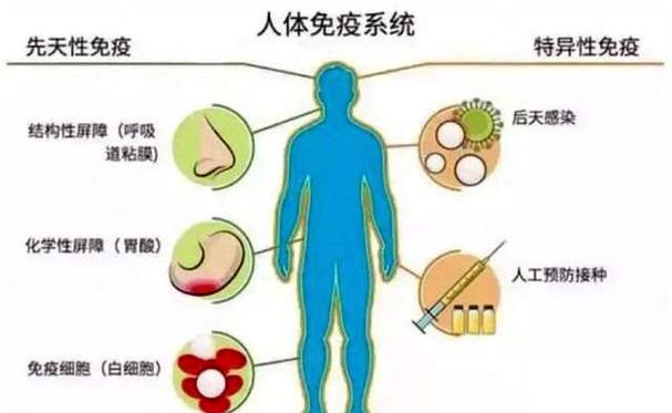 运动与免疫系统健康的关系