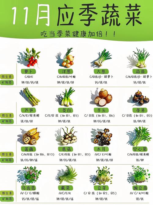 详细阅读:食材应季性利用效率:自然馈赠的智慧之选 食材应季性利用效率:自然馈赠的智慧之选