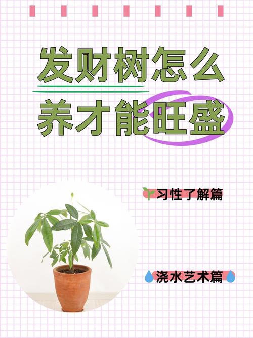 详细阅读:发财树养护全攻略:助你养出枝繁叶茂的“财富之树” 发财树养护全攻略:助你养出枝繁叶茂的“财富之树”