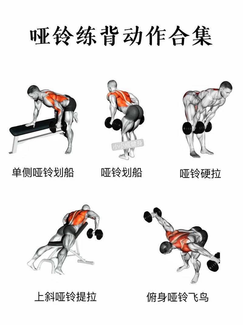 哑铃训练方法全解析：打造健康体魄与理想身材