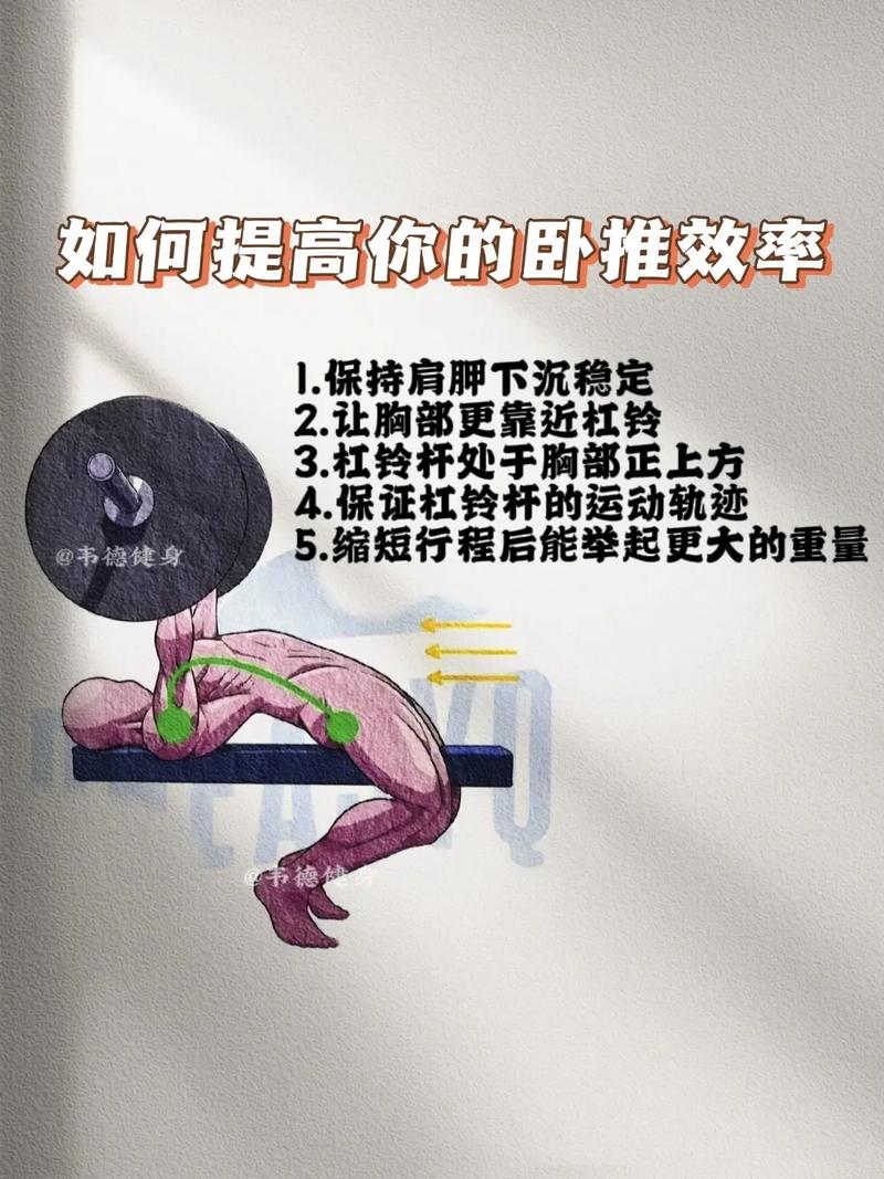 详细阅读:探索卧推的奥秘:从基础到精通的力量训练之旅 探索卧推的奥秘:从基础到精通的力量训练之旅