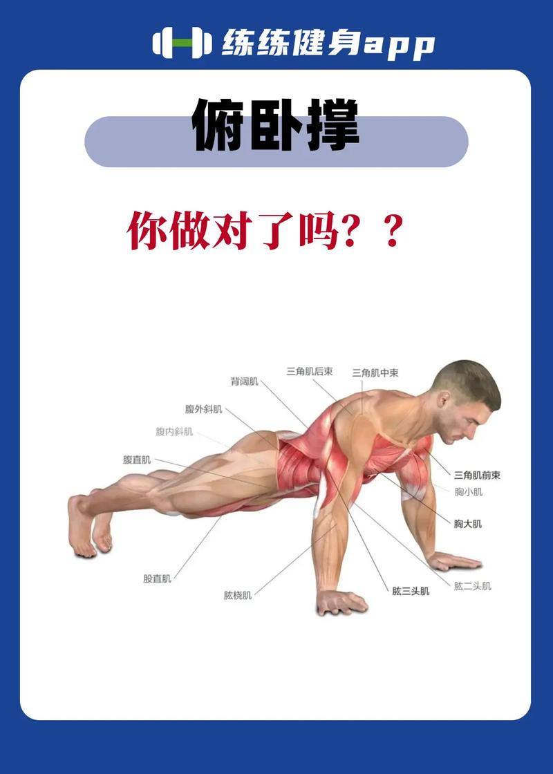 以下是一份关于俯卧撑的较为全面的内容：