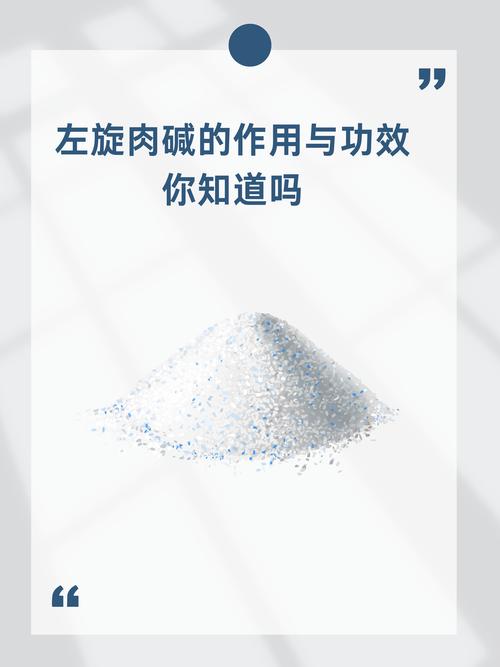 左旋肉碱：探索脂肪代谢的神秘力量