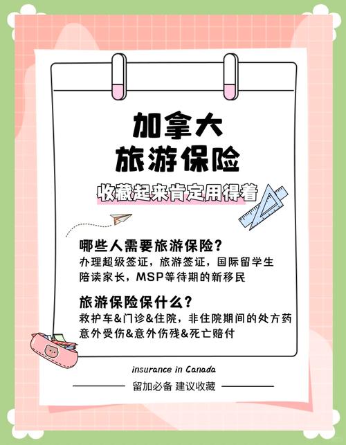 旅游保险选购全攻略：让您的旅途安心无忧