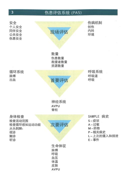 探索有效治疗之路：多维度解析与实践