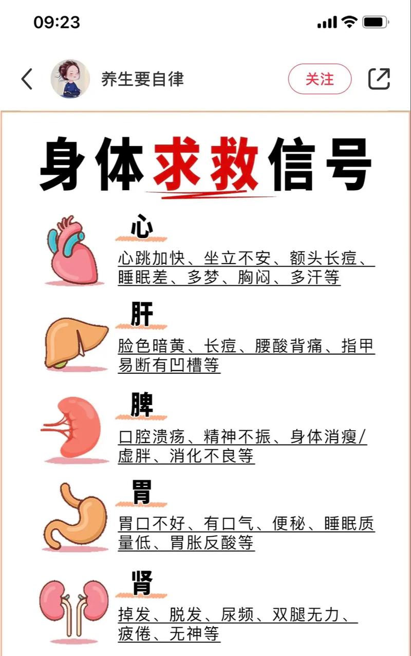 发烧：身体与疾病的信号灯