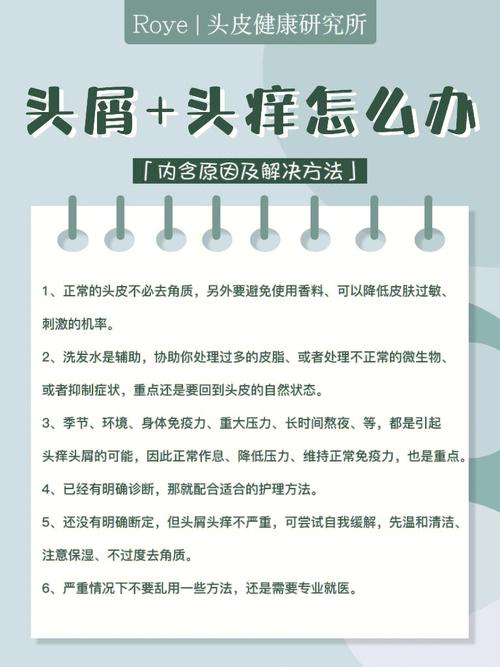 头皮瘙痒终结者：全面解析与高效解决方案