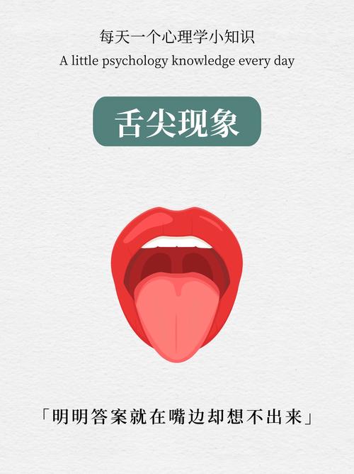 味觉：舌尖上的奇妙世界