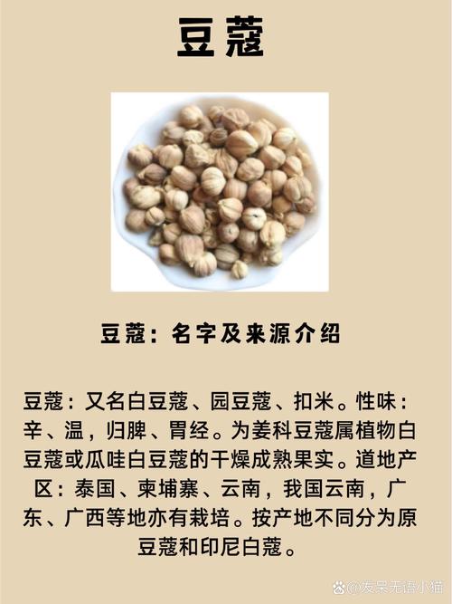 豆蔻粉：自然馈赠的古老香料与多元应用