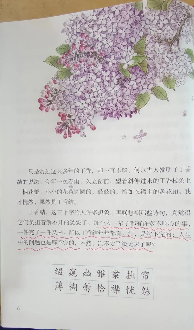 以下是为您生成的关于丁香粉的文章：