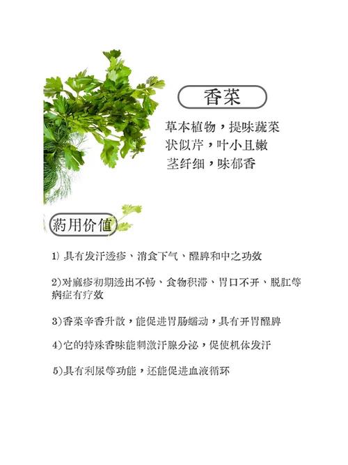 香菜：独特魅力与多元价值