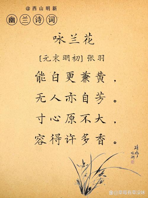兰圃雅韵：方寸间的生命华章
