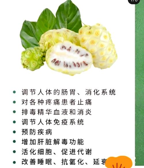 探寻诺丽果干的奥秘：自然馈赠的健康宝藏