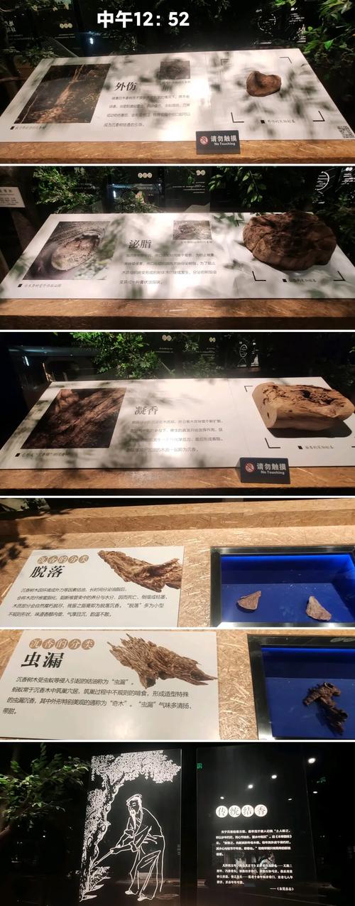 详细阅读:中国沉香文化博物馆:开启沉香文化的神秘之旅 中国沉香文化博物馆:开启沉香文化的神秘之旅