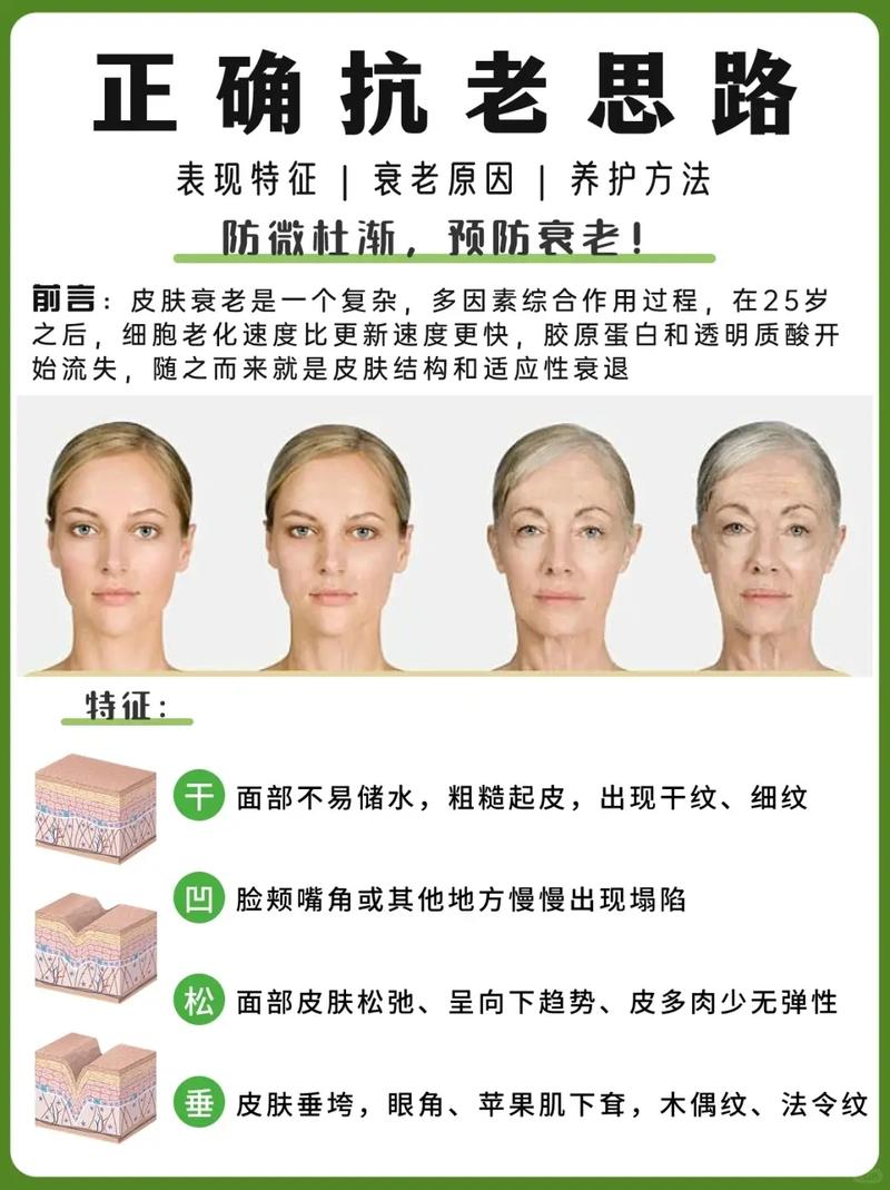 详细阅读:皮肤老化进程与延缓:守护肌肤时光的秘密 皮肤老化进程与延缓:守护肌肤时光的秘密