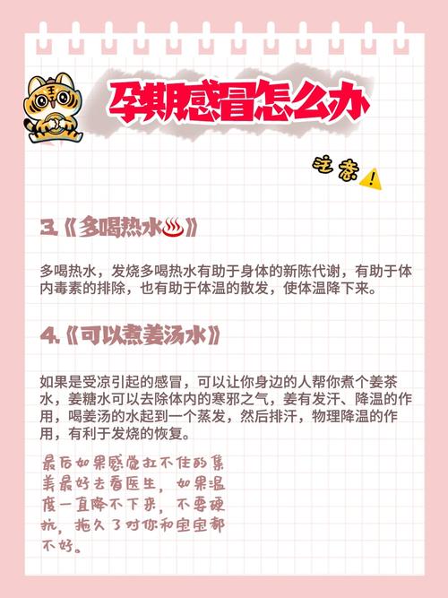 孕期发烧应对：守护母婴健康的指南