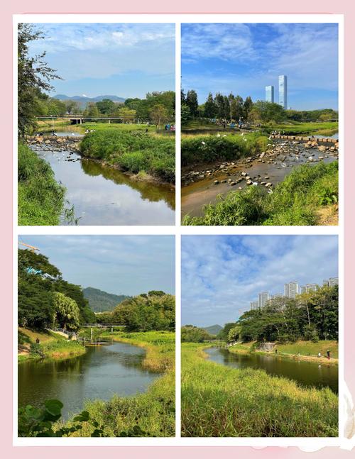 深圳松岗公园：城市中的自然绿洲