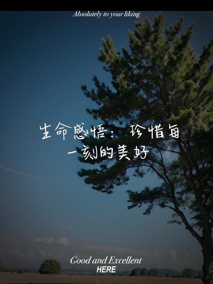 快乐：生命最珍贵的馈赠
