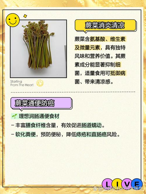 探秘蕨菜茶：自然馈赠的健康佳饮