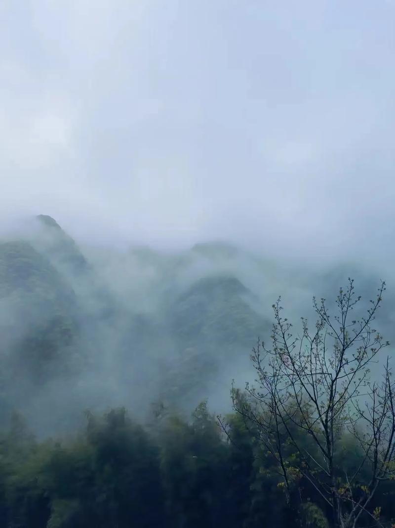 雾锁青山，探秘山中奇境