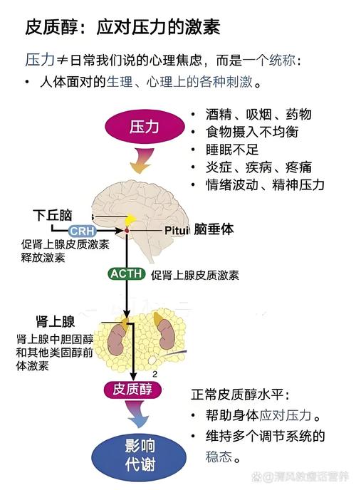 详细阅读:压力对皮肤的影响机制:深入探究身心与肌肤的关联 压力对皮肤的影响机制:深入探究身心与肌肤的关联
