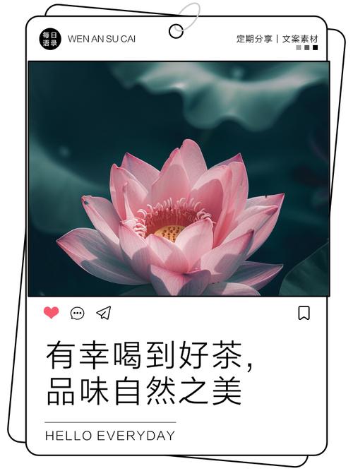 品味自然之馈赠：人心果茶的香韵之旅