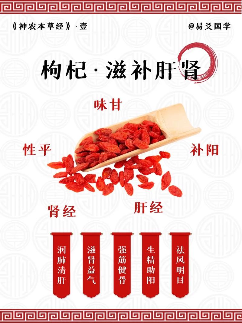 枸杞的养生智慧：传统与现代的完美融合