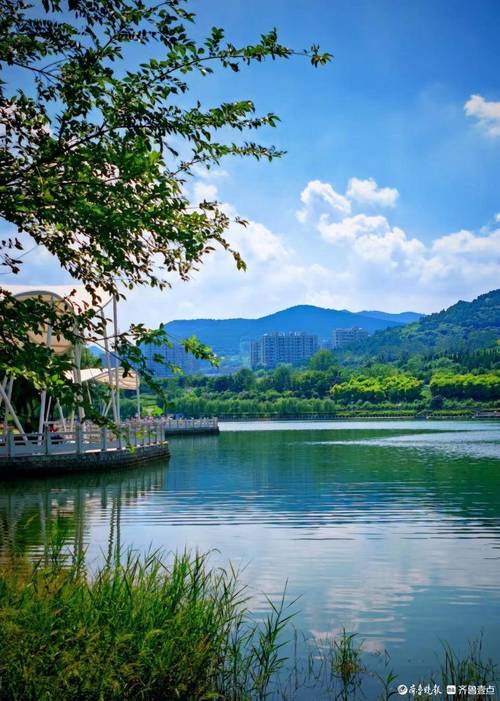 凤凰湖湿地公园：生态之美的典范